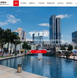 宁波富达股份有限公司