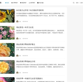 SEO_网站优化_网络推广_快速上排名