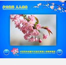 成都市双流区棠湖小学
