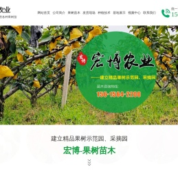 泰安市宏博农业科技有限公司,矮化樱桃苗种植基地,山东苹果苗批发基地,山东蓝莓苗种植基地,泰安石榴苗出售价格
