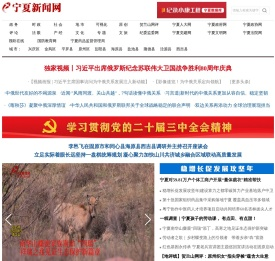 宁夏新闻网