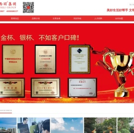 巾帼西丽环境科技集团有限公司